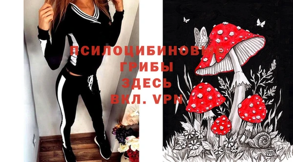 ГАЛЛЮЦИНОГЕННЫЕ ГРИБЫ Нягань