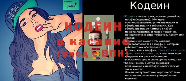 крисы Няндома