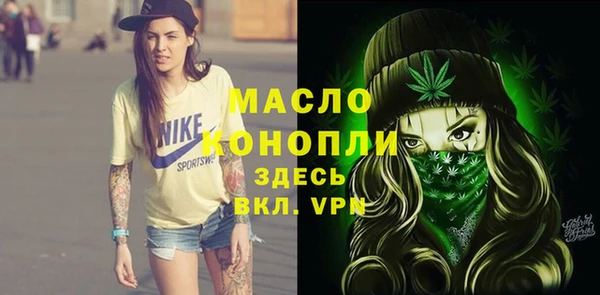 крисы Няндома