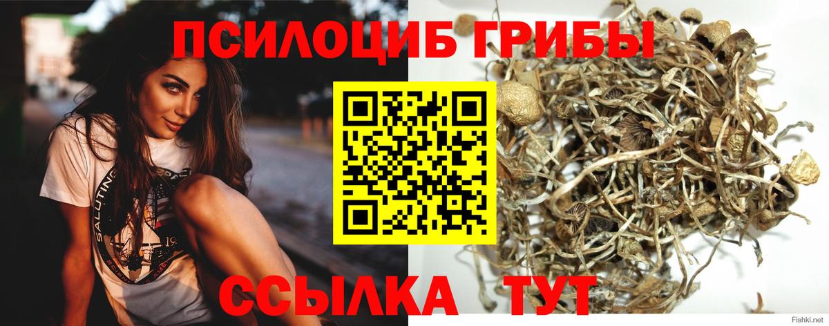 Рассказово  Псилоцибиновые грибы Magic Shrooms  Вход с VPN 