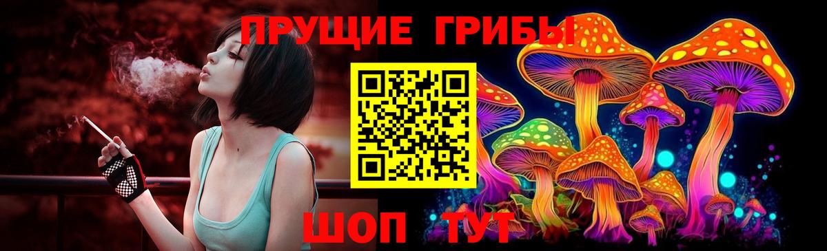 Псилоцибиновые грибы GOLDEN TEACHER Рассказово